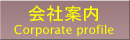��Јē�