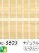 RC-3809